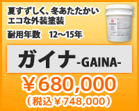 ガイナ \680,000(税抜)