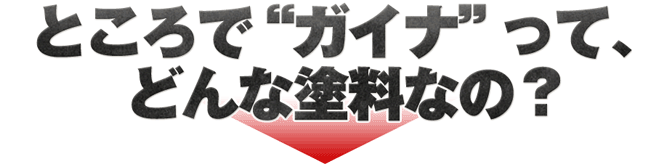 ところでガイナってどんな染料なの？