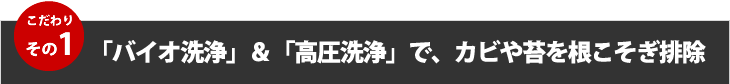 こだわりその１、「バイオ洗浄」＆「高圧洗浄」で、カビや苔を根こそぎ排除