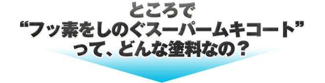 ところで、“フッ素をしのぐスーパームキコート”って、どんな塗料なの？